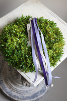 zielony wianek z bukszpanu, Edwina