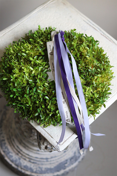 zielony wianek z bukszpanu, Edwina