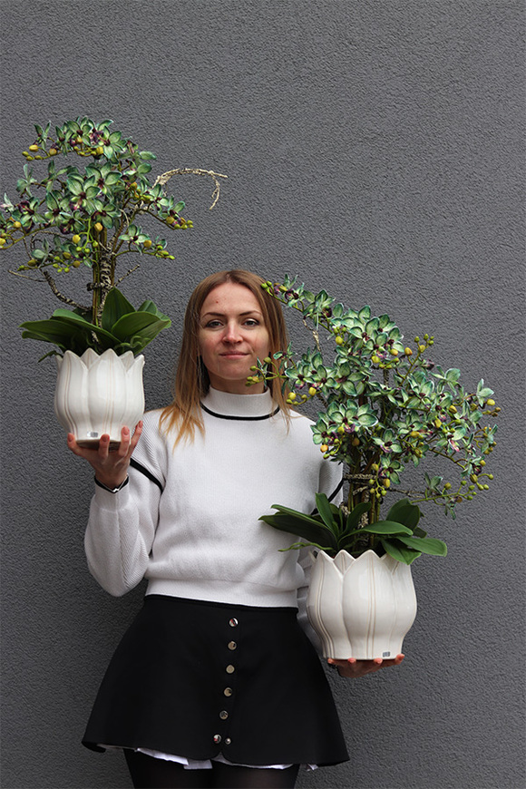 Green Tulippo, zielony storczyk w doniczce