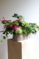 Leddenia, dekoracja nagrobna w skrzynce, wym.80x32x35cm