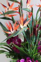 Strelicja&Orchidea Boho, egzotyczna kompozycja