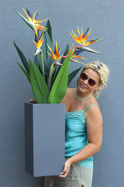 Strelicja Fiberlass, egzotyczna dekoracja podłogowa, wym.118cm