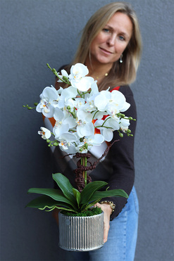 Silver Medilla, sztuczny storczyk w donicy, wys.62cm 