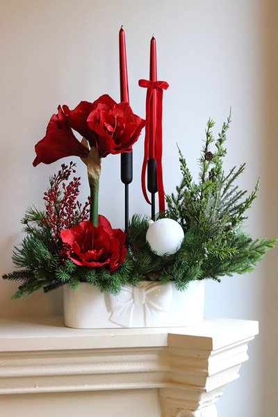 Amarylis Kokarda Denerra, świąteczna kompozycja z czerwonymi kwiatami