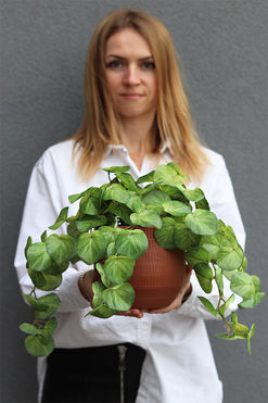 OD REKI Pilea Helite, sztuczna roślina w doniczce pieniążek, wys.27cm