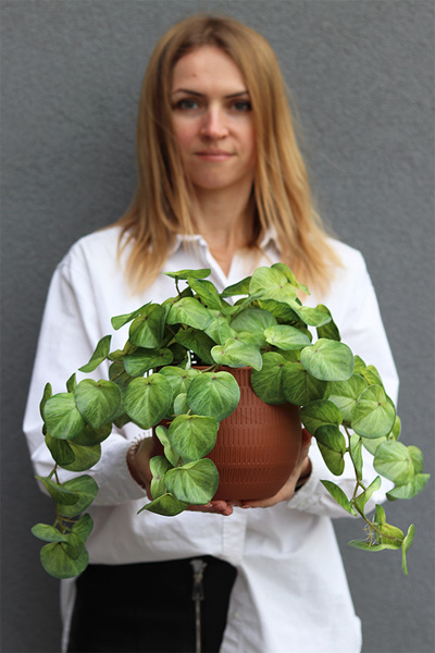 Pilea Helite, sztuczna roślina w doniczce pieniążek