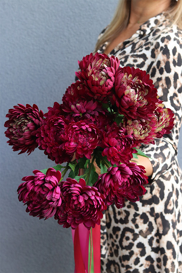 Chryzantema Memory, bukiet chryzantem, bordowe