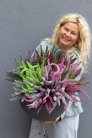 Wrzosowisko Fiberglass, wrzosy w szarej donicy