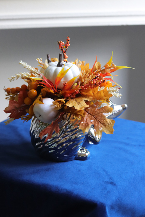 Jeżyk Autumn Glamour, jesienna kompozycja z dyniami