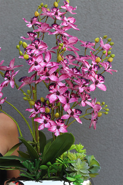 Emma Pink, sztuczny storczyk w srebrnej doniczce, wys.66cm