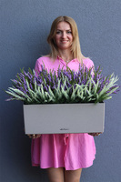 Lechuza Wrzosy 3, kompozycja kwiatowa w wysokiej jakości donicy