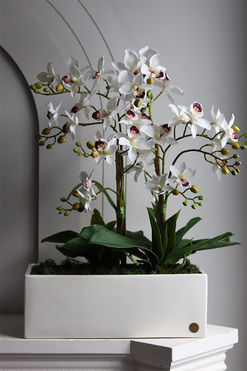 Tajlandia Banerra, sztuczny storczyk w minimalistycznej donicy, wys.