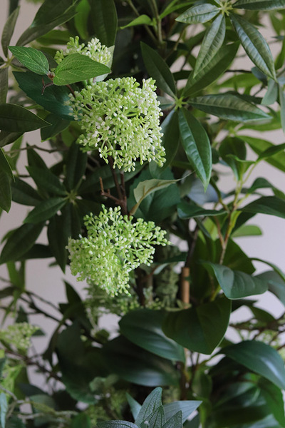 New Green Saute 2, drzewko sztuczne kolumnowe we wkładzie