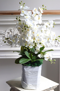 Refila Mediolan Saute, gumowy storczyk do Twojej donicy, wys.51/74cm