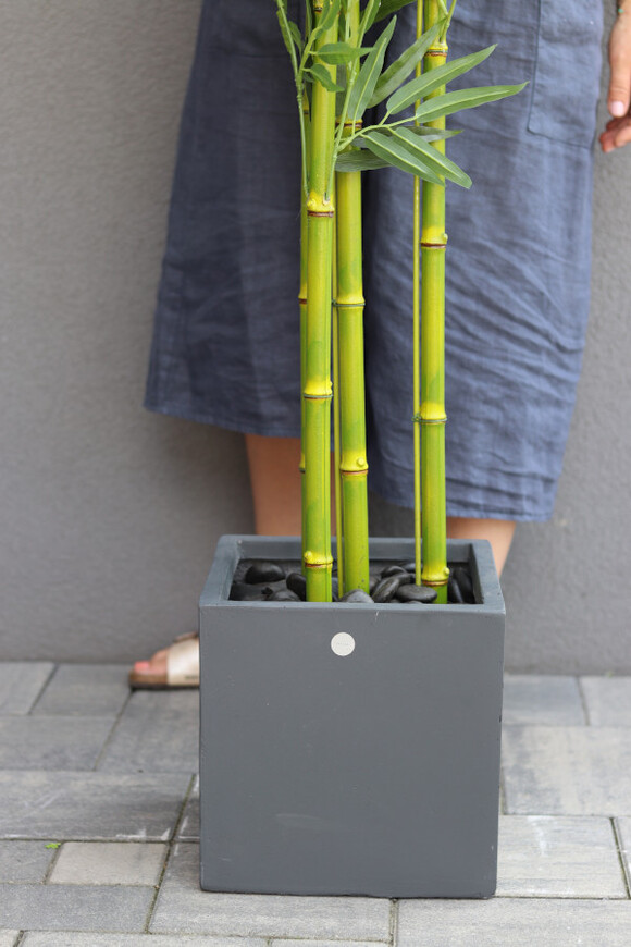 Bambus Concrete, sztuczna roślina w betonowej donicy
