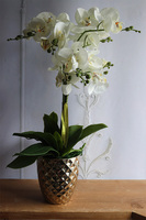 Filano Gold, sztuczny storczyk w złotej donicy