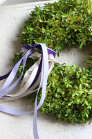 zielony wianek z bukszpanu, Edwina