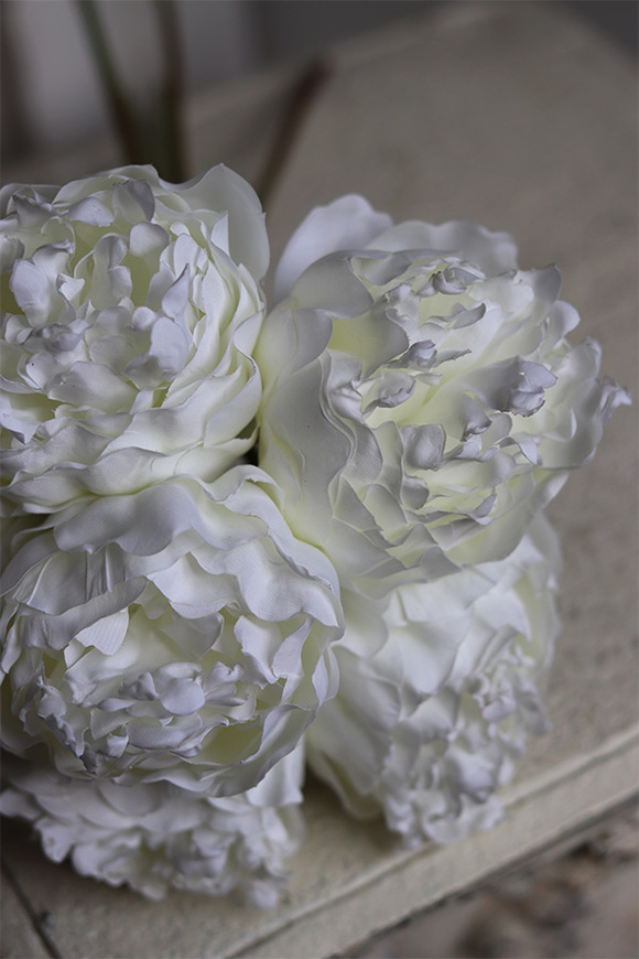 Bella Italia New, bukiet kremowych peoni