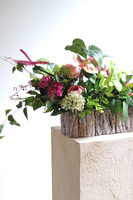 Leddenia, dekoracja nagrobna w skrzynce, wym.80x32x35cm