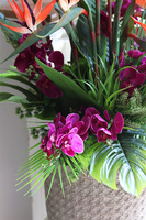 Strelicja&Orchidea Boho, egzotyczna kompozycja