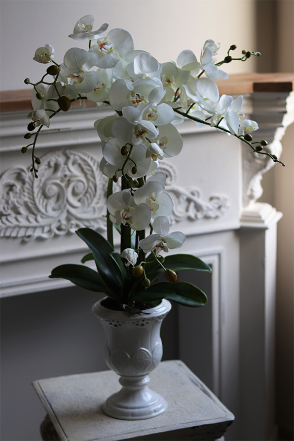 Ydetta Ażur na nodze, storczyk w ażurowej donicy