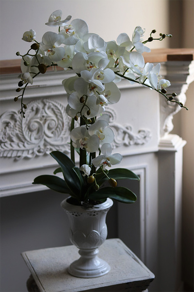 Ydetta Ażur na nodze, storczyk w ażurowej donicy