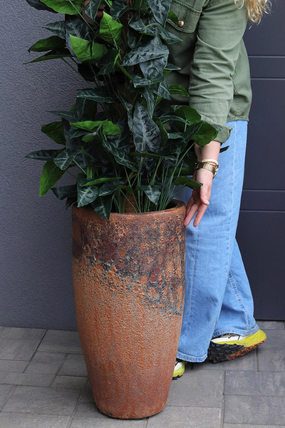 Filodendron Pompei, drzewko kolumnowe w donicy ceramicznej