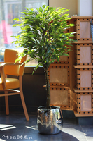 Fikus Benjamin I Deluxe, sztuczna roślina w donicy