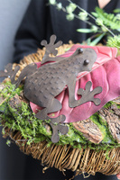 Żaba na Liściu, wianek na drzwi z żabkami