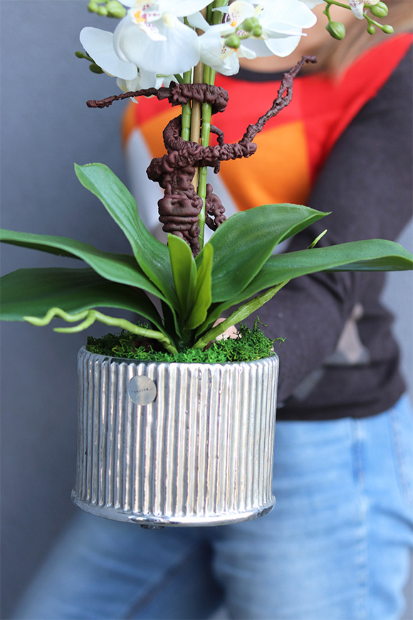 Silver Medilla, sztuczny storczyk w donicy