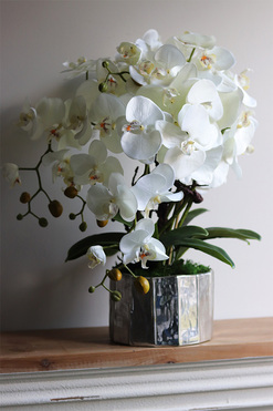 Silver Fredda, sztuczny storczyk w donicy, wys.55cm