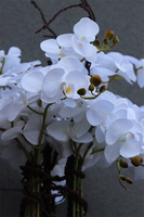 Lechuza Grande Premium, sztuczny storczyk