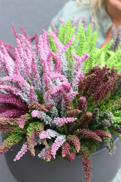 Wrzosowisko Fiberglass, wrzosy w szarej donicy