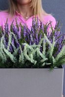 Lechuza Wrzosy 3, kompozycja kwiatowa w wysokiej jakości donicy