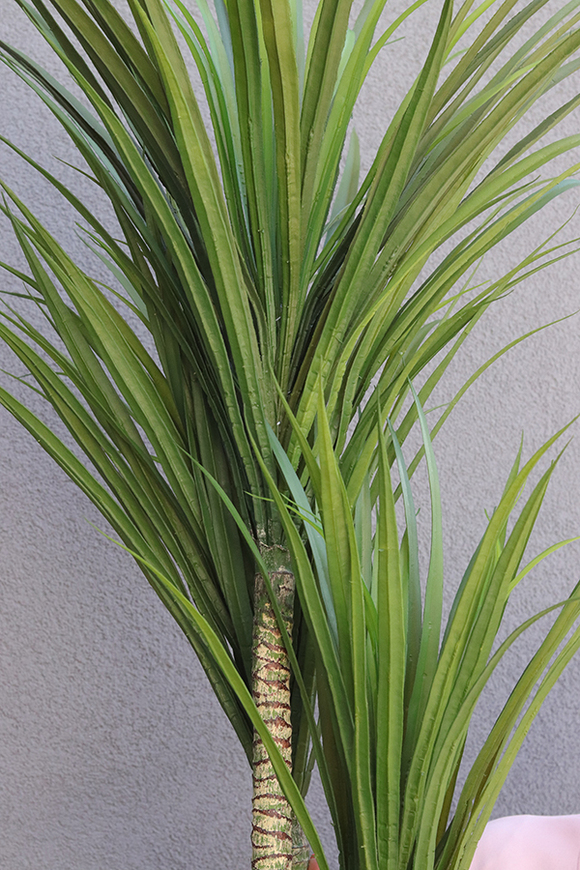Dracena, wysokiej jakości sztuczna roślina