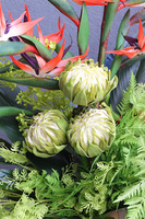 Strelicje Chobe Gold, egzotyczny bukiet w wazonie