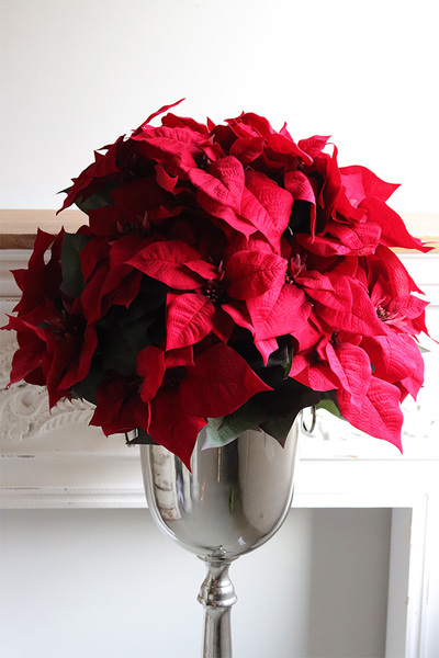 Gwiazda Betlejemska Deluxe, wysokiej jakości sztuczna roślina w coolerze