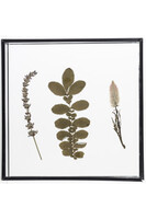 Botanika B, taca ze szklanym blatem