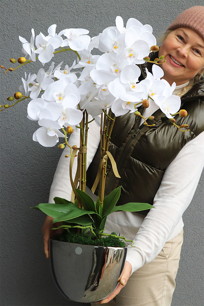 Cinderella Belida, śnieżnobiały storczyk w lustrzanej donicy