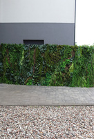 EcoGreen Wall, zielona ściana z roślin sztucznych panel
