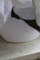 Simple Cinderella, wysokiej jakości Biała Gwiazda Betlejemska