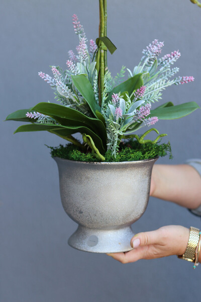 Szampania, różowy storczyk z lawendą