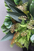 Sopot Cocktail Bar ścianka jednostronna ze sztucznych roślin