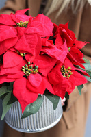 Gwiazda Betlejemska Srebro, wysokiej jakości sztuczna roślina