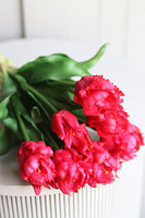 Novelty Amarant, bukiet gumowych tulipanów