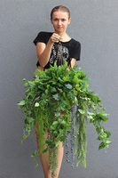 Green House, zielona kompozycja wisząca