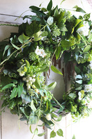 duży zielony wianek, Greenera