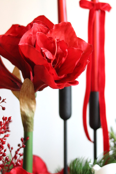 Amarylis Kokarda Denerra, świąteczna kompozycja z czerwonymi kwiatami