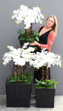 sztuczny storczyk we wkładzie Sylvinia Cubico, wys.108cm