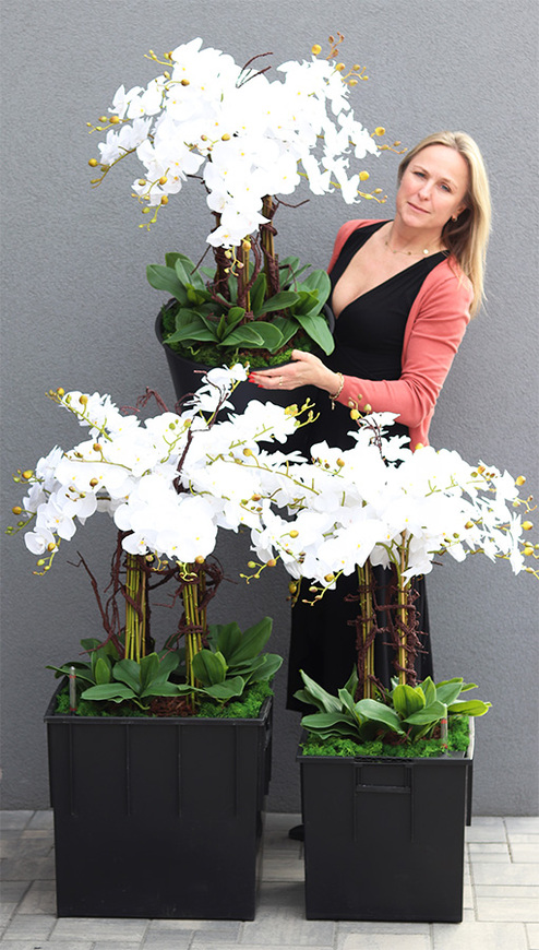 sztuczny storczyk we wkładzie Sylvinia Cubico